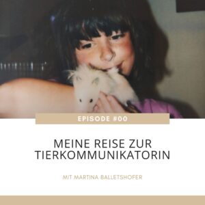 Meine Reise zur Tierkommunikatorin