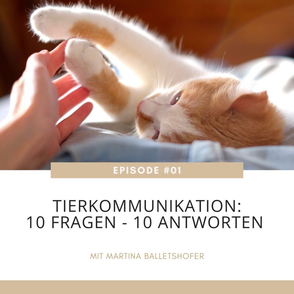 Tierkommunikation-10 Fragen-10Antworten-Cover