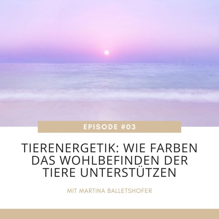 Mehr über den Artikel erfahren Tierenergetik – Wie Farben das Wohlbefinden deines Tieres unterstützen können